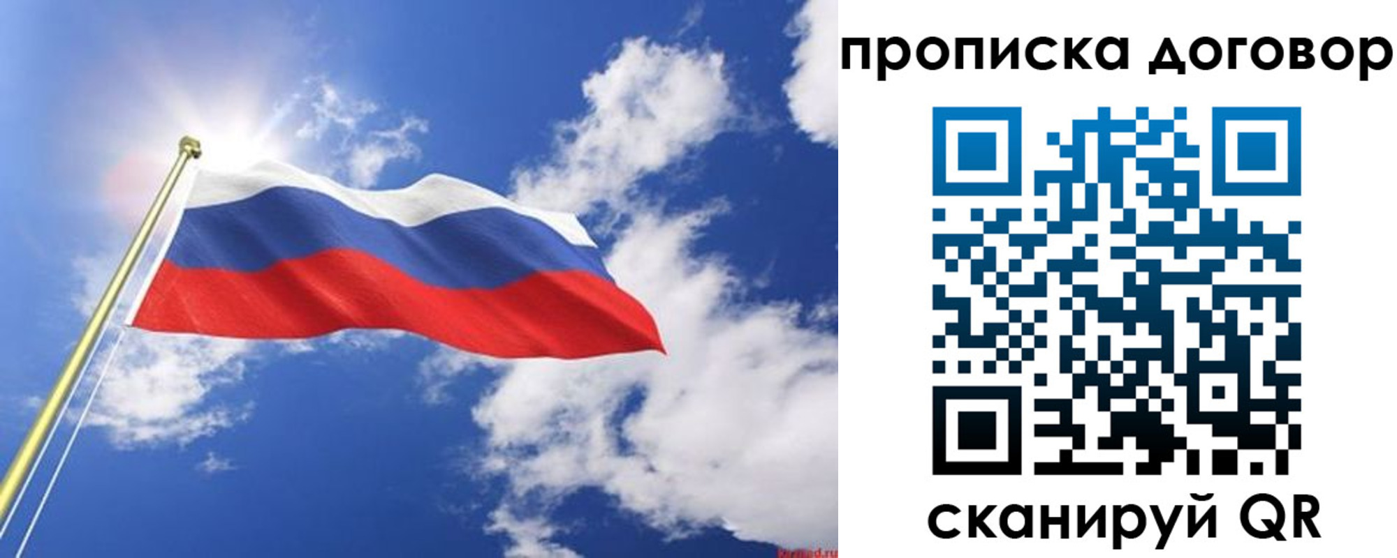прописка гарантия в Гатчине